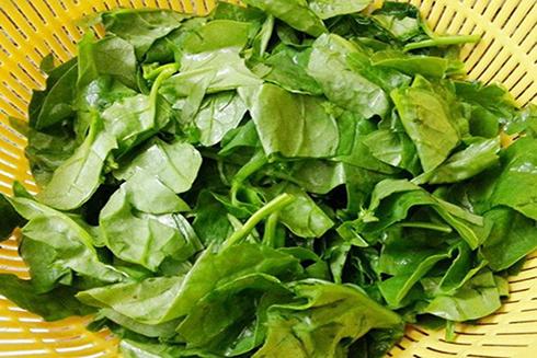 "4 không" khi ăn rau mồng tơi, biết mà tránh kẻo hối hận- Ảnh 1.