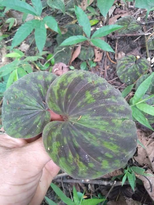 480543920_122220119984233392_7290934423533947158_n (2)