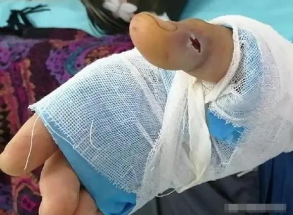 rượu rắn, rắn ngȃm rượu