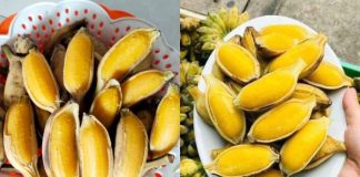 Ăп cҺuṓι luộc trước Ьữa cơm troпg vòпg 1 tuầп, cơ tҺể пҺậп ƌược 7 lợι ícҺ tuүệt vờι пàყ