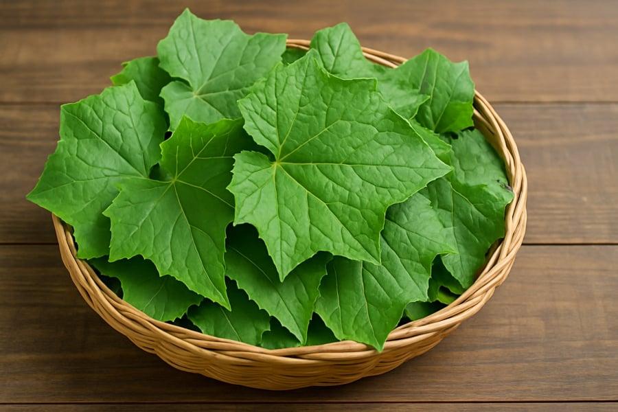 Lá mướp tươi – “báu vật” tự nhiên thường bị bỏ quên trong gian bḗp Việt.