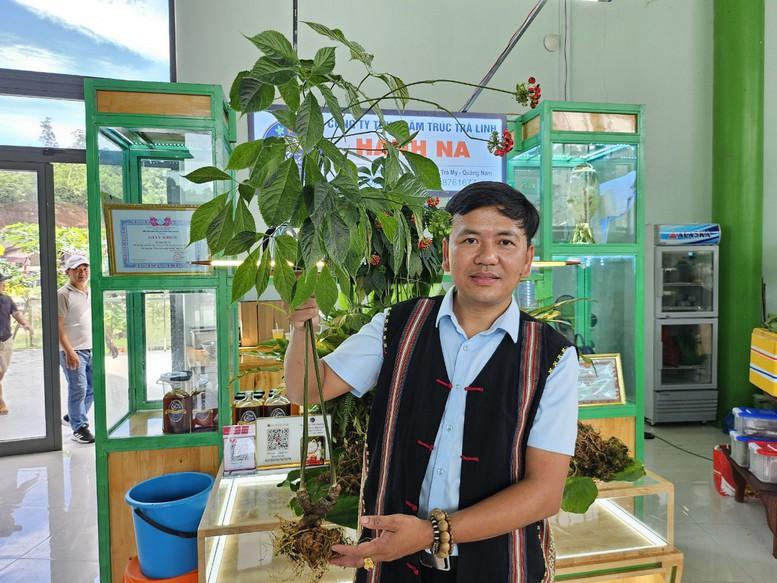 Loài cȃy quý hiḗm, ᵭắt ᵭỏ bậc nhất thḗ giới, chỉ có duy nhất ở Việt Nam- Ảnh 3.