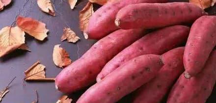 rau ᴜng thư, ᴜng thư