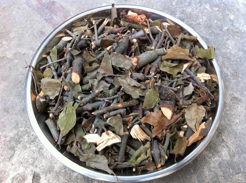 Tầm gửi được dùng như một vị thuốc Đông y để chữa các loại bệnh gan, thận, xương khớp