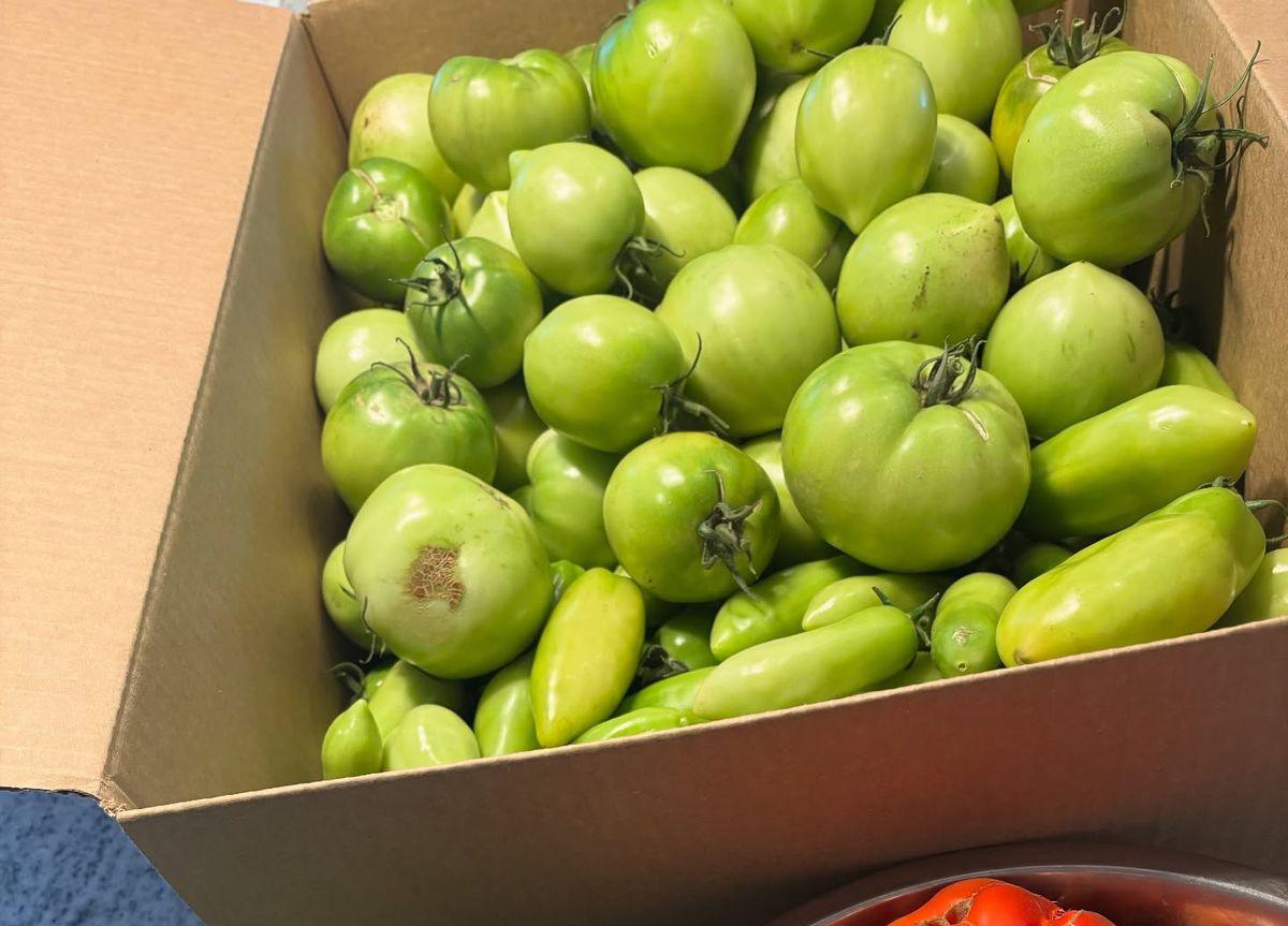 Đã đến lúc TỰ CỨU LẤY GAN bằng cách NGỪNG ĂN 5 loại rau củ quen nhưng cực hại- Ảnh 1.