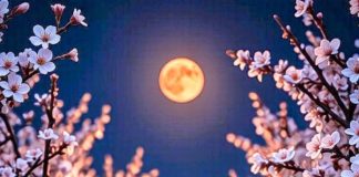 Tuần từ 3–9/11: 3 tuổi vận may ào ạt, mưa vàng lời khen, 1 tuổi cẩn thận mất cơ hội vì sức khỏe