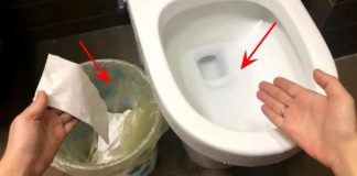 Nên vứt giấy vệ sinh vào thùng rác hay bồn cầu? Việc đơn giản nhưng không phải ai cũng thực hiện đúng