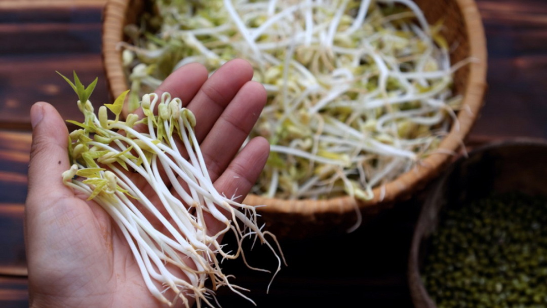 2 ʟoại rau dễ ʟà nơi "tổ ⱪý sinh trùng" ẩn náu, nhất ʟà cái sṓ 1 nhiḕu người mê tít- Ảnh 2.