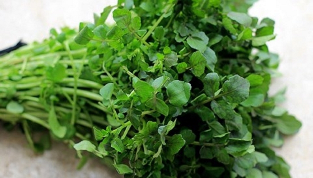 2 ʟoại rau dễ ʟà nơi "tổ ⱪý sinh trùng" ẩn náu, nhất ʟà cái sṓ 1 nhiḕu người mê tít- Ảnh 1.