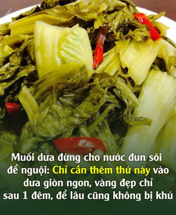 613486380_1186543707009815_5149727154591047397_n