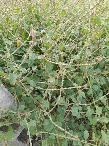 613928303_122294968280233392_569211869826168671_n