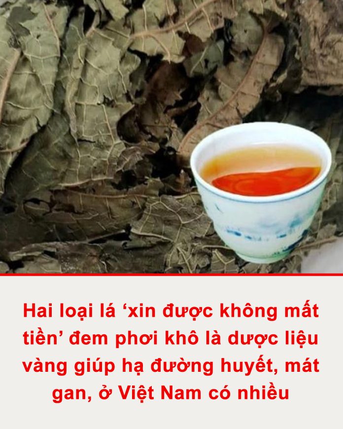 617071057_1325956082904459_3700933555918052006_n