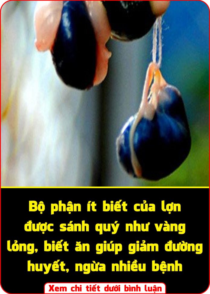 618633388_1329724699194264_1626092228937036986_n