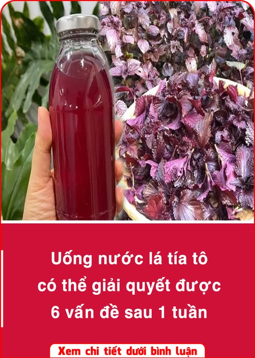 618760851_1197928575869416_5999693194941048810_n