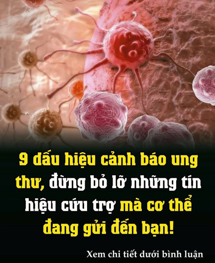 623369698_1427038386100018_8386393509789880809_n