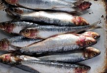 UT đại tràng rất “sợ” 6 loại thực phẩm này: Sau 45 tuổi càng nên ăn