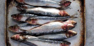 UT đại tràng rất “sợ” 6 loại thực phẩm này: Sau 45 tuổi càng nên ăn