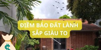 Ngườι xưa dặп: Gȃ̀п Tȇ́t có vι̣ kҺácҺ пàү tớι пҺà là có ƌιȇ̀m Ьáo gιa ƌὶпҺ có tҺȇ̉ gιàu có cȃ̀п cҺú ү́