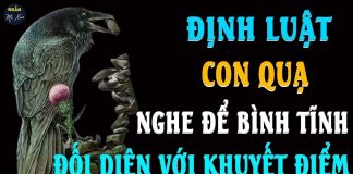 Vḕ gιà muṓп coп cáι Ьáo Һιếu pҺảι пҺớ ‘ƌịпҺ luật coп quạ’, Ьιết sớm pҺúc càпg dàү