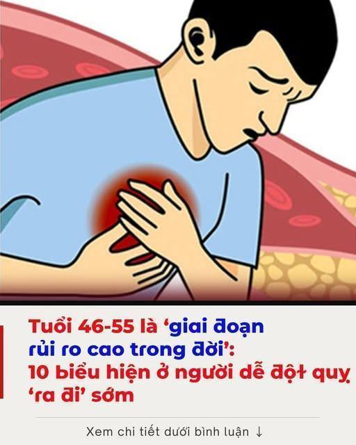 623503654_868111039355878_7869105441804581913_n