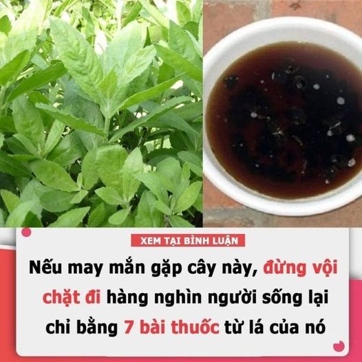 626639249_1204677351861205_8289599229924636724_n