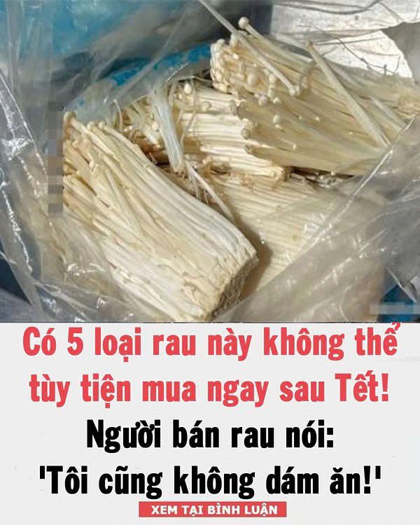 627679079_1291249349719151_2507428986282699336_n