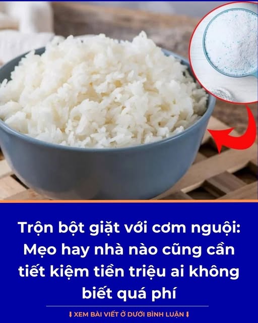 628239827_1209146858080921_3205531680616342847_n