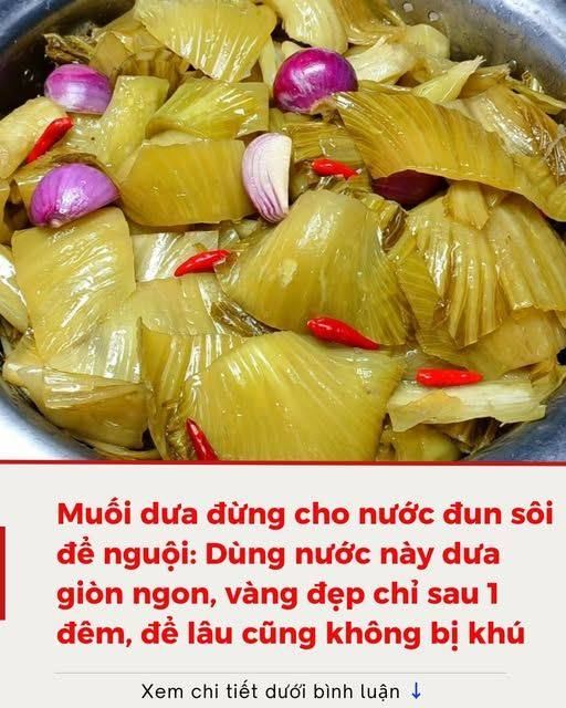 631116287_881562257970174_7657999549518239363_n