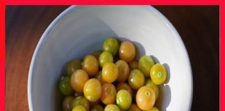 Việt Nam có loại quả dại, ít người ăn, sang Nhật có giá 2,9 triệu đồng/kg: Tiềm năng phòng u-ng thư