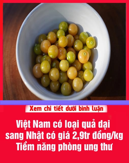 631213624_1208829541445986_2623616707520542238_n