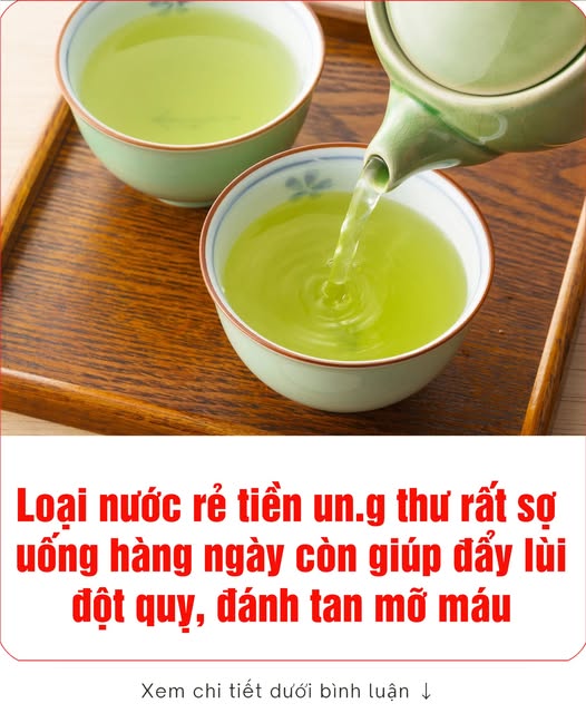 632975210_1211962531132687_7502070049149408173_n