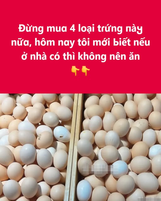 633062664_122303467484233392_3015220520772812848_n