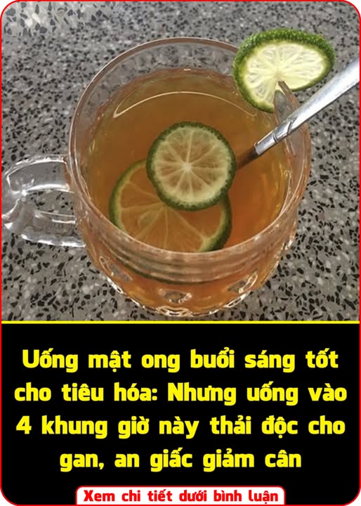 633804888_1213424000986540_8537994811812600515_n