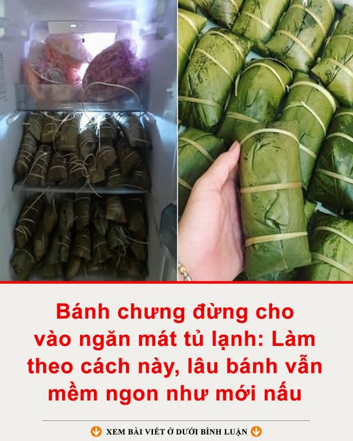 633835457_122303279702233392_438515253882075365_n