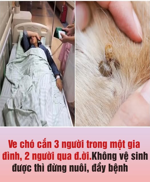 634645504_1212248134437460_7252729463693517550_n