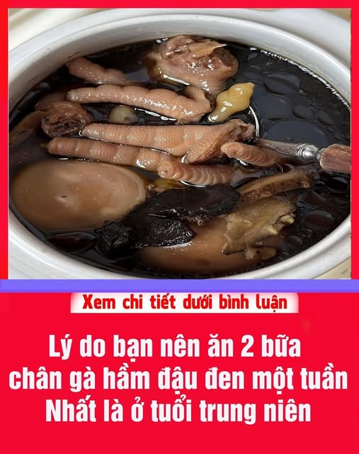 634741454_1213343847661222_8218086848119609401_n