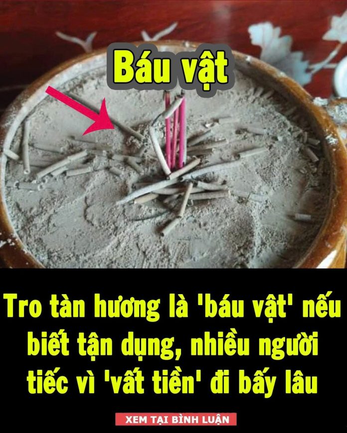 636984488_1446823277454862_8023522082643051219_n