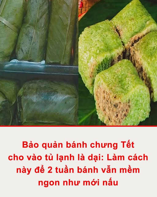 641374229_1220909106904696_117702080195008930_n