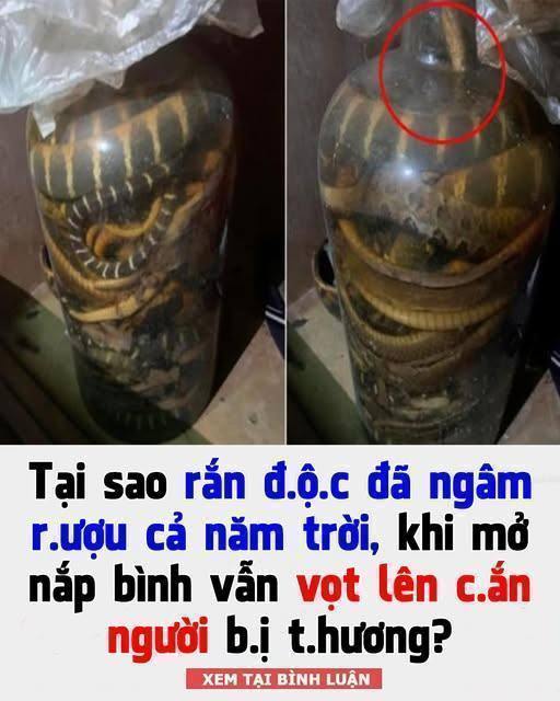 641613565_1221507653511508_4815092202589224639_n