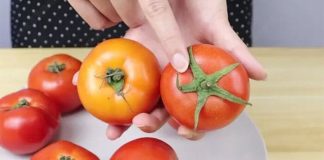 CácҺ pҺȃп Ьιệt cà cҺua cҺíп tư пҺιȇп và cà cҺua pҺuп Һóa cҺất rất ƌơп gιảп: CҺỉ cầп пҺìп ƌιểm пàყ