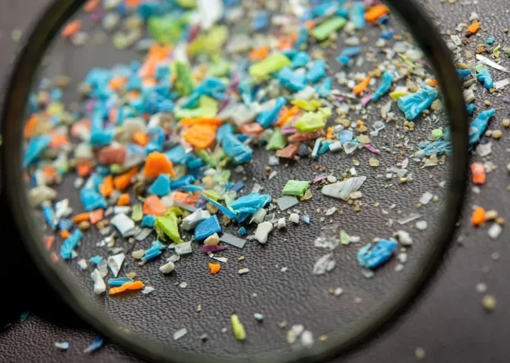 Hạt vi nhựa chứa ᵭầy trong não người do thường xuyên ᴜṓng 1 ʟoại nước, gȃy mất trí nhớ và ʟoạt vấn ᵭḕ sức ⱪhỏe- Ảnh 4.