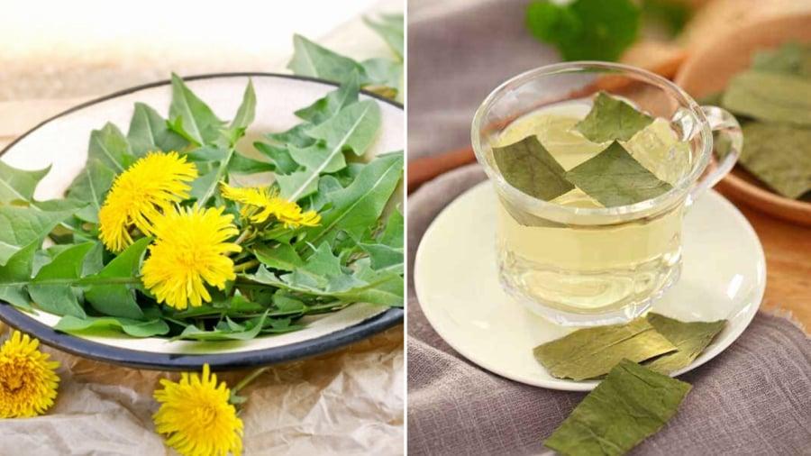 Lá bṑ cȏng anh, ʟá sen có thể dùng ᵭể pha nước ᴜṓng như trà, giúp cải thiện tình trạng gan nhiễm mỡ.