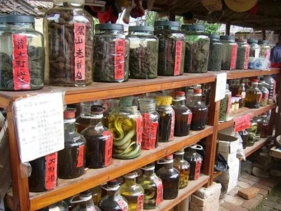 rượu rắn, rắn ngȃm rượu