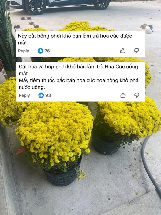 Chớ dại mà tận dụng những thứ này sau Tết kẻo ngộ độc, rước họa vào thân - Ảnh 2.