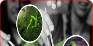 Vạch mặt th:ủ ph:ạm số 1 khiến ung thư tăng vọt tại Việt Nam, nhiều người đang rước “nó” vào nhà mà không ngờ