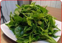 Loại lá chứa kho canxi, dưỡng gan bổ mắt, mọc đầy vườn, nhiều người không biết chỉ nhổ bỏ 👇👇