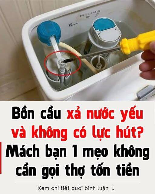 651183285_1249203187337935_3072980176940977127_n