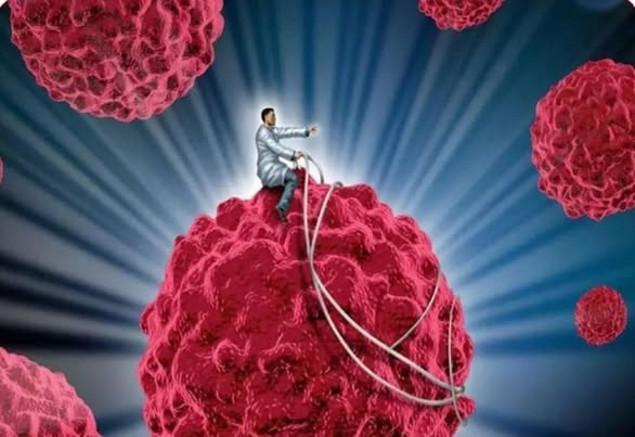 656113030_1255952113329709_5021487605790900459_n