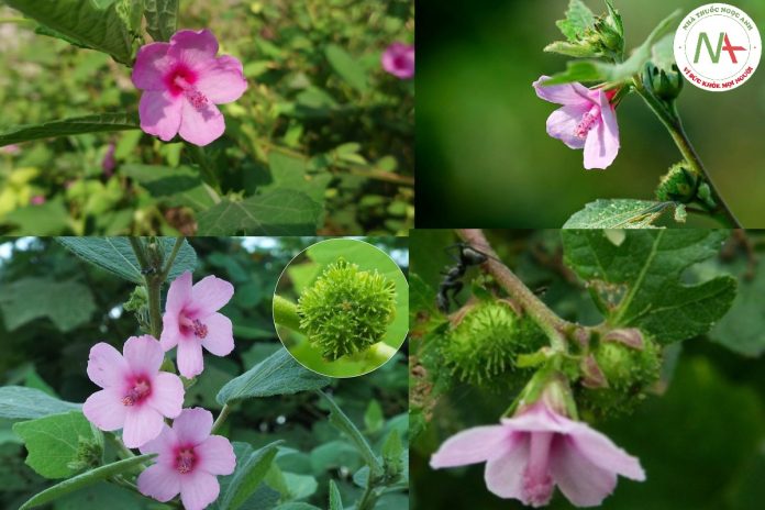 657281889_122311683542233392_5227657397039328019_n