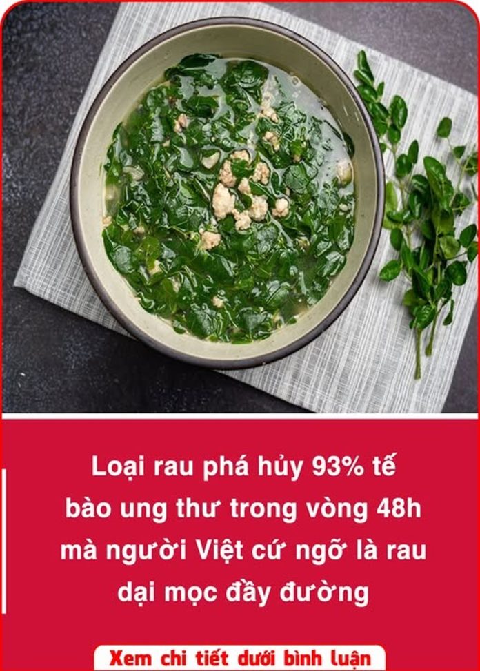 658951316_1381362867363780_5638519612090273782_n